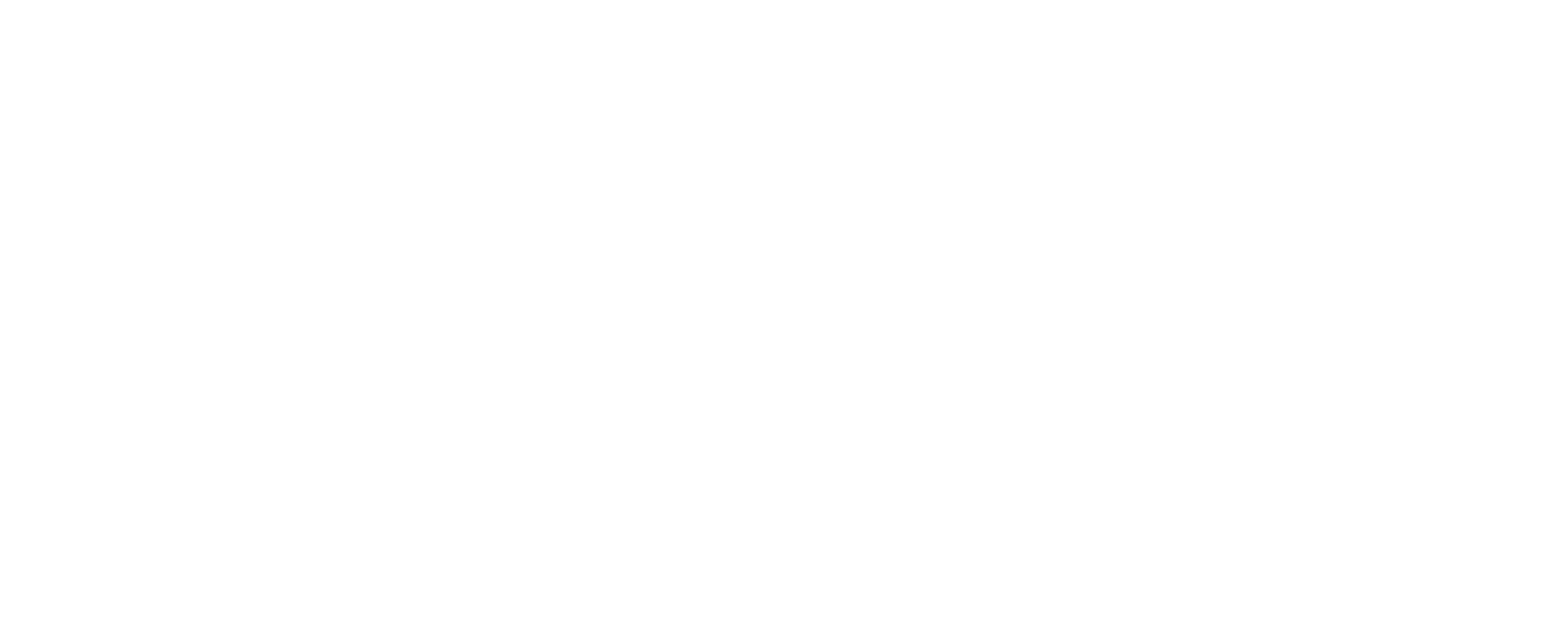 DSC GmbH